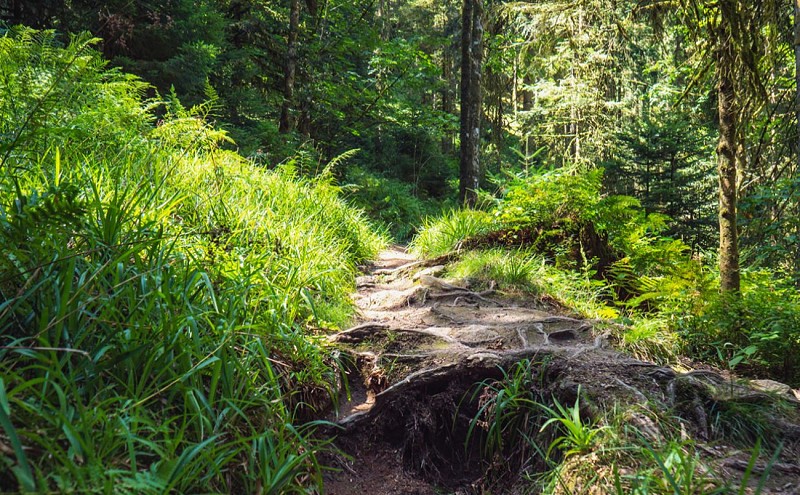 Le trou de l'enfer - gorge