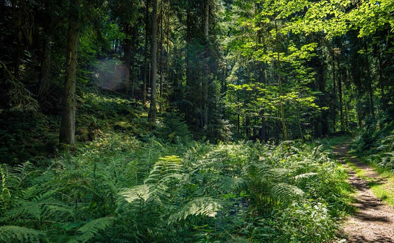 Le trou de l'enfer - gorge