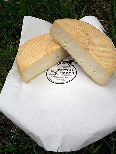 Ferme des Plombes - Farm