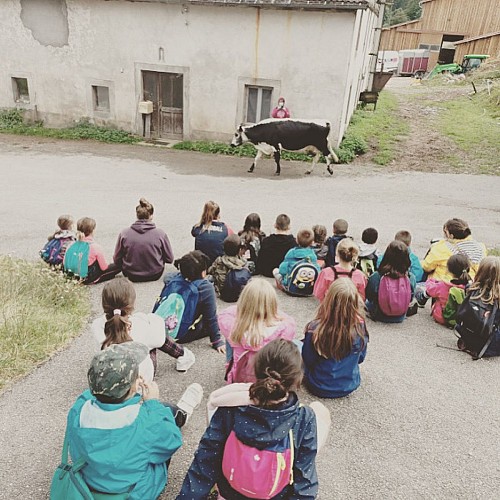 Ferme des Plombes - Farm