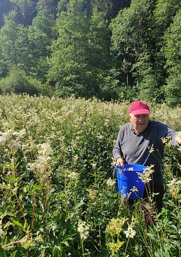 Les petits crus vosgiens