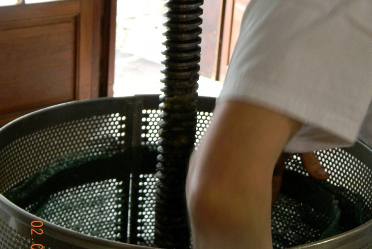 Les petits crus vosgiens