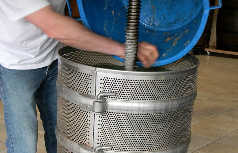 Les petits crus vosgiens