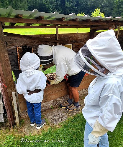Rucher de Lilou