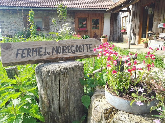 Farm of Noiregoutte - Ferme de Noiregoutte