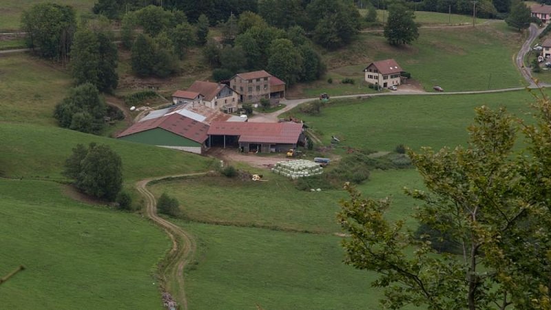 Farm - Gaec du Vacceux