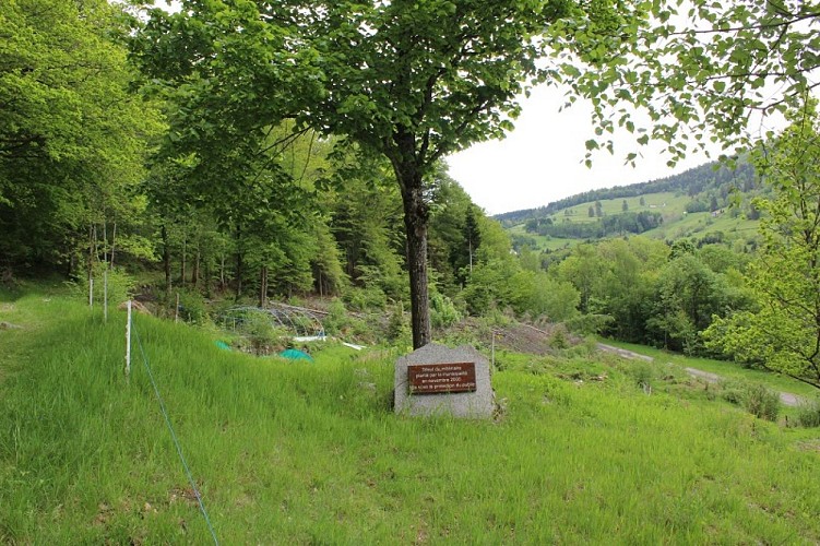 Fitness trail at Le Ménil