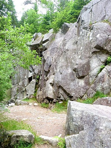 Natürliches Klettergebiet - Der Künstlerfelsen