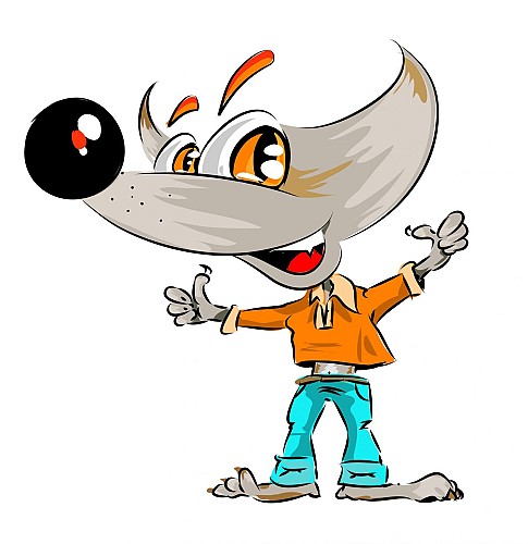 Sportbereich - Basketball