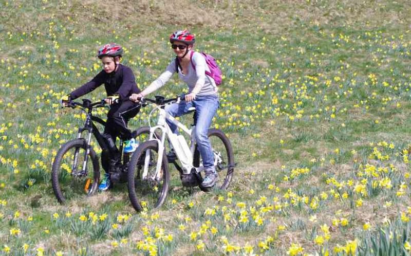 Two-wheel accompaniment - pierre guidat