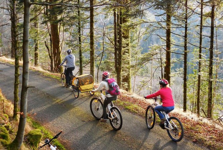 Begeleiding op twee wielen - pierre guidat