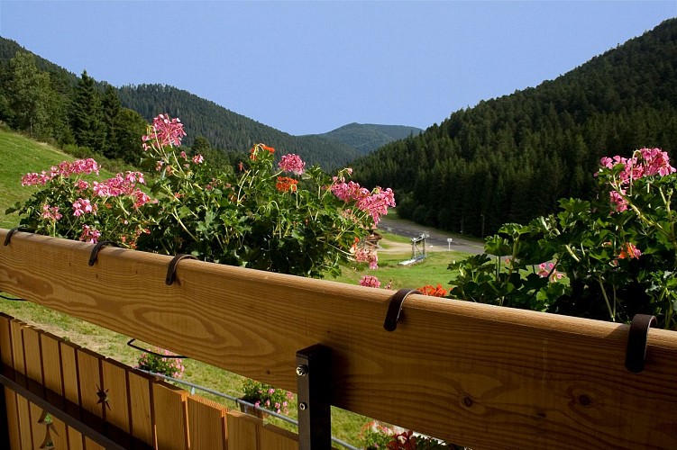 Hotel-Restaurant Le Vétiné