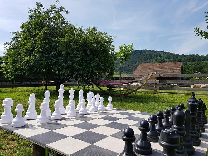 Chalet Les Charmalynes - 1