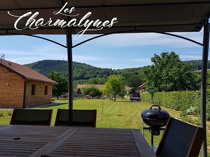 Chalet Les Charmalynes - 1
