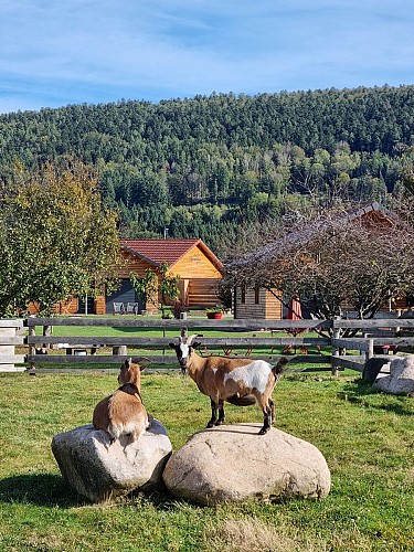 Chalet Les Charmalynes - 1