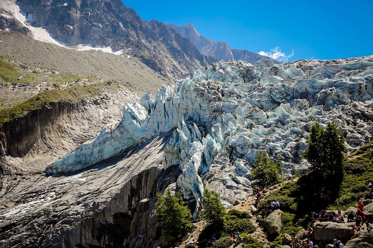 Glacier d'Argentière