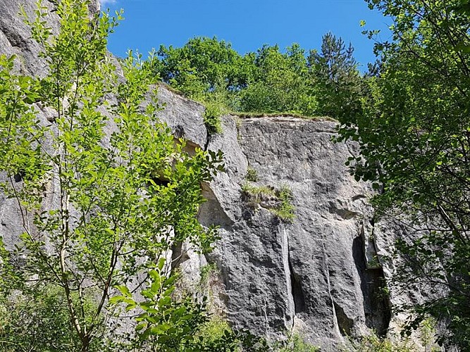 Pelouse calcaire les roches