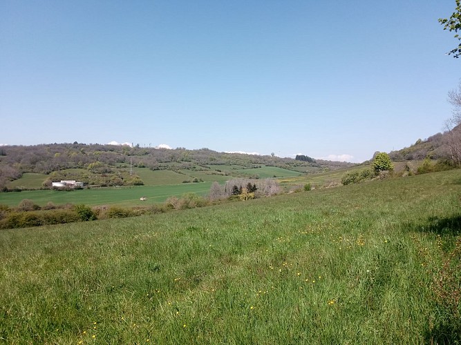 Vue sur les Monts-d'Or
