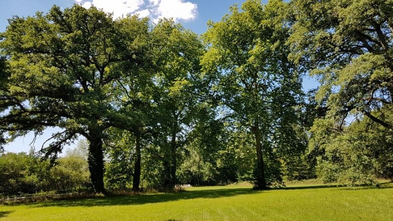 Parc Château de la Rose