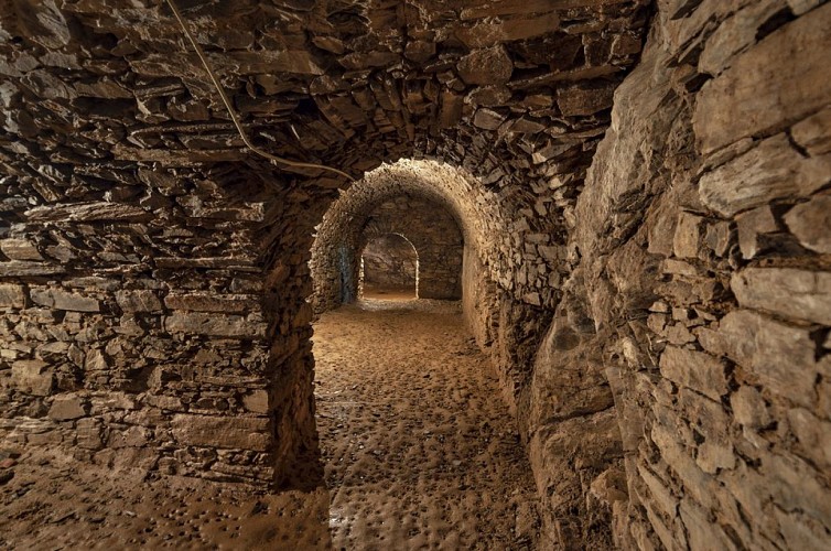 Château de Comborn (Orgnac sur Vezere)