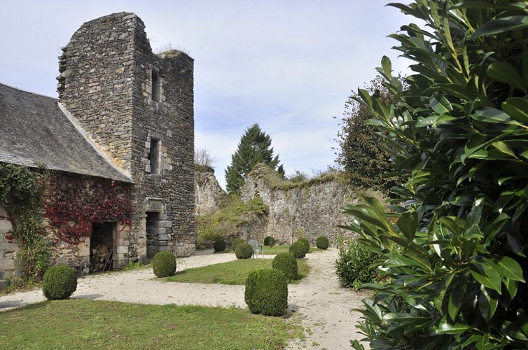 Château de Comborn (Orgnac sur Vezere)