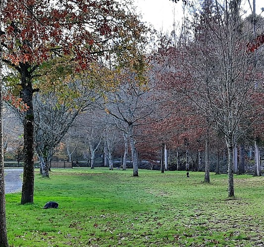 Camping Les Sillons_3