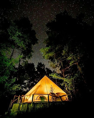 bell tent under starts