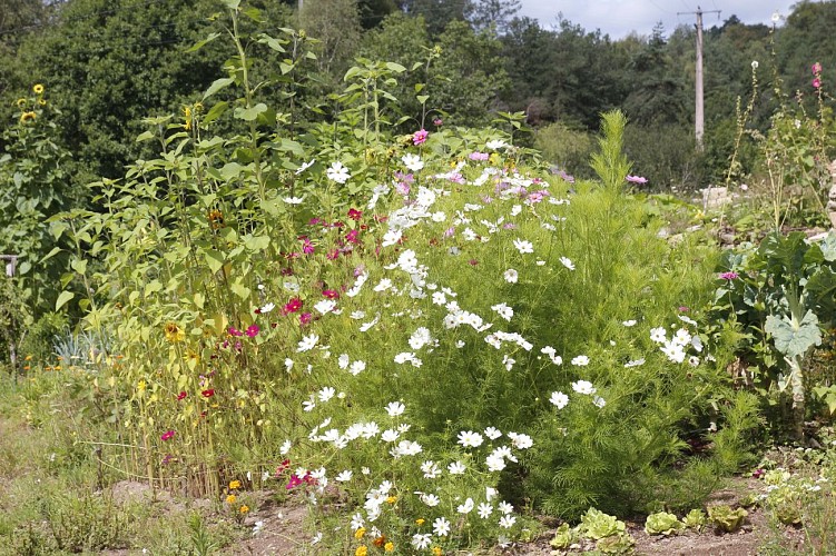 Aire Naturelle Le Moulin de Lacombe