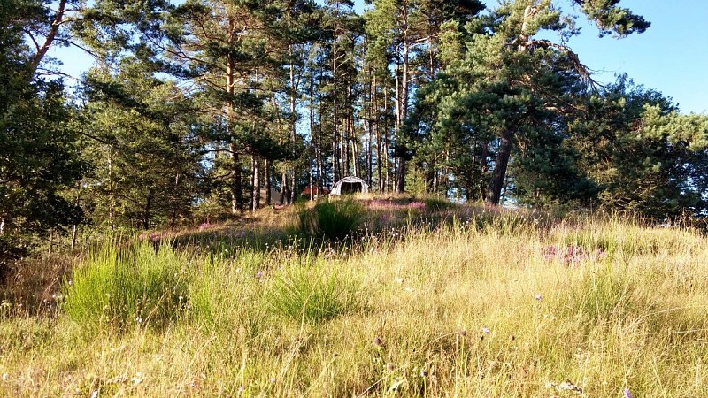 Aire Naturelle Le Moulin de Lacombe