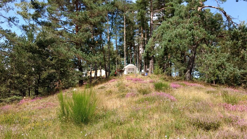 Camping Moulin de lacombe - Saint Geniez (2)_8