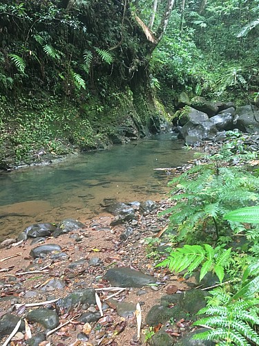 La trace de la rivière Quiock
