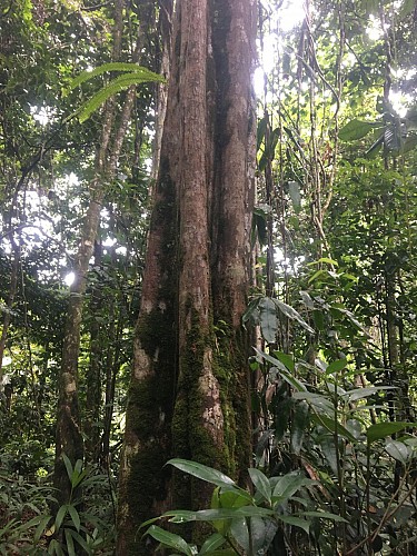 La trace de la rivière Quiock