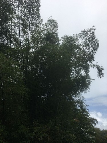 La trace de la rivière Quiock