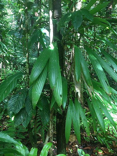 La trace de la rivière Quiock