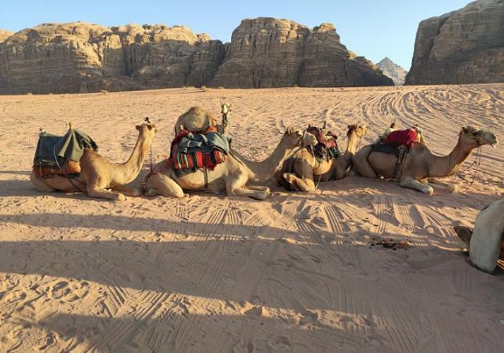 Conduite de quad et balade à dos de dromadaire - transferts inclus depuis Hurghada