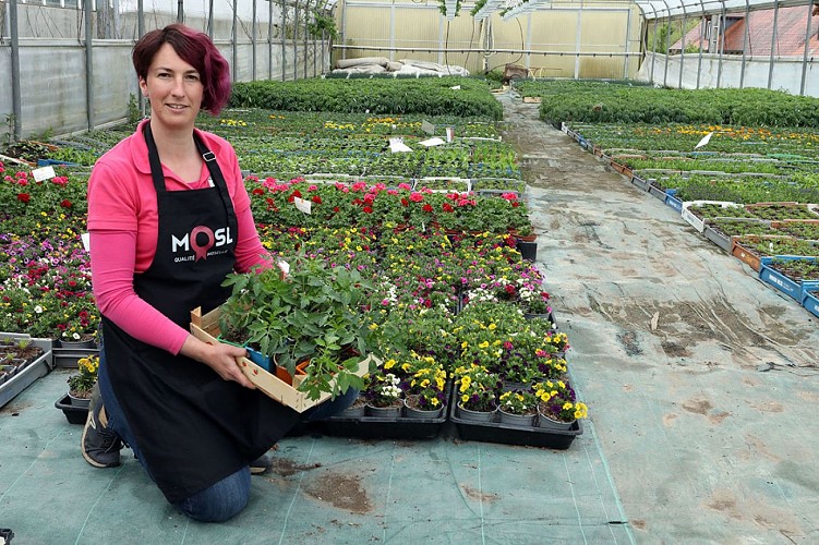 Horticulture litzenburger