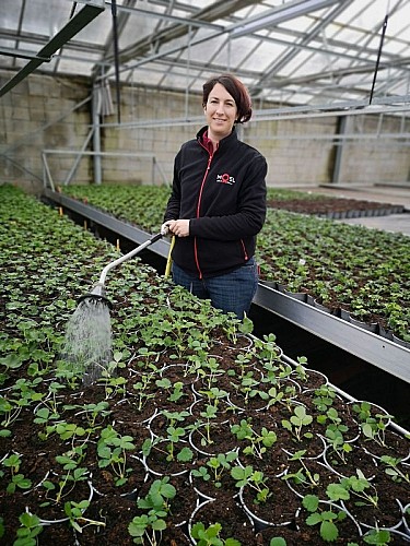 Horticulture Litzenburger