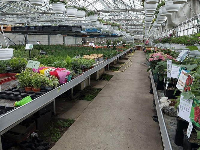 Horticulture Litzenburger