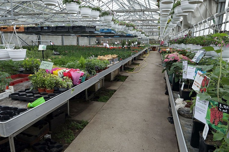 Horticulture Litzenburger