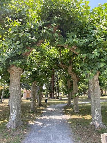 CLNT-LINXE-Parc Dufau (26)_BD