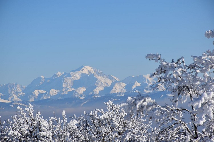 Das Plateau de Retord
