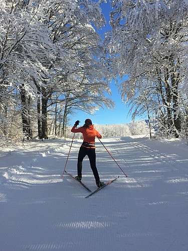 Das Plateau de Retord