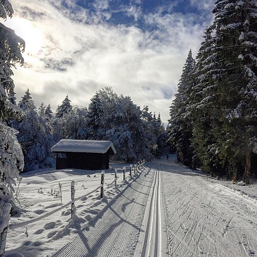 Das Plateau de Retord