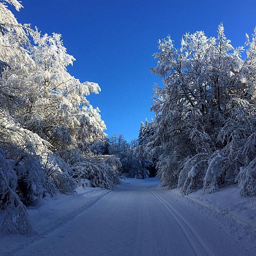 Das Plateau de Retord