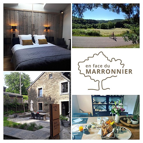 En face du marronnier 2