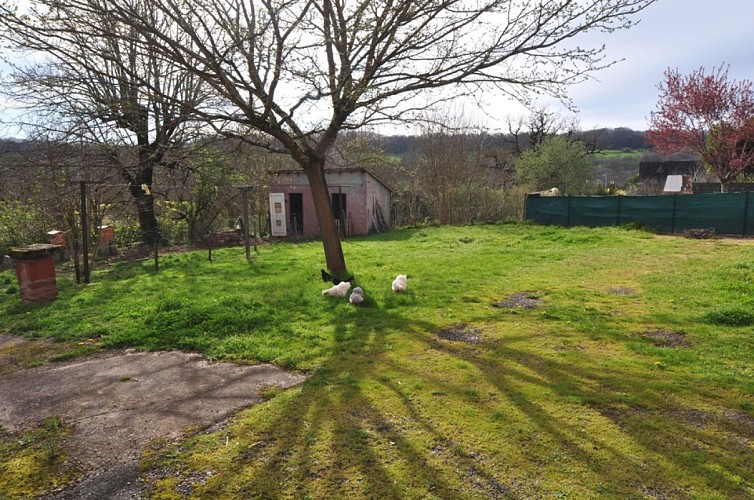 ChHotesLaFermette-Collonges_poules_3