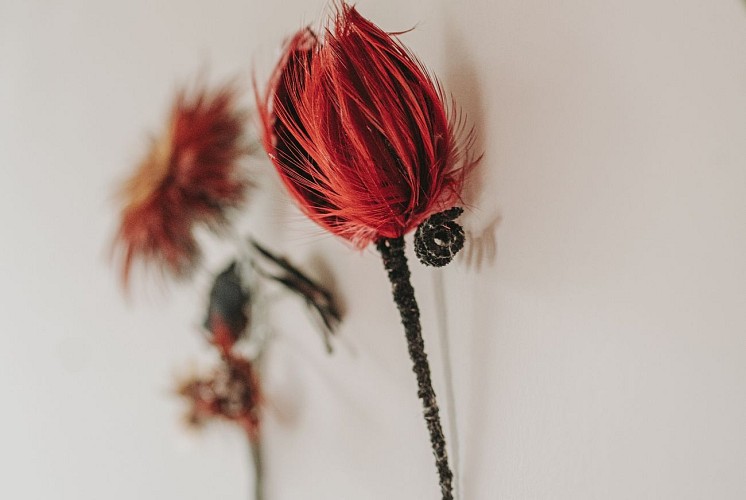 Plumasserie: rencontre entre la plume et la main