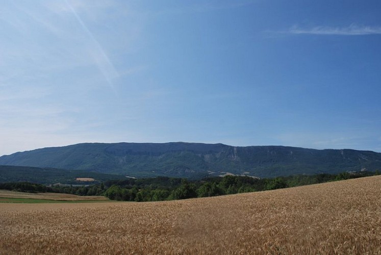 Vue sur la Montagne de Chabre