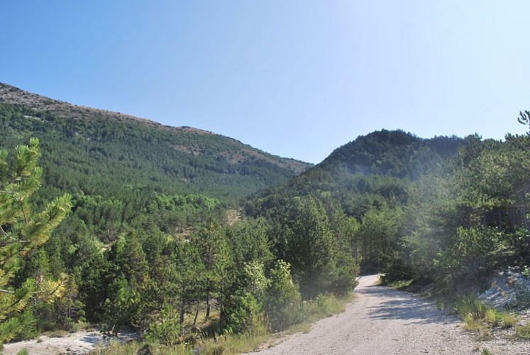 En direction du vieux village de Saint-Genis