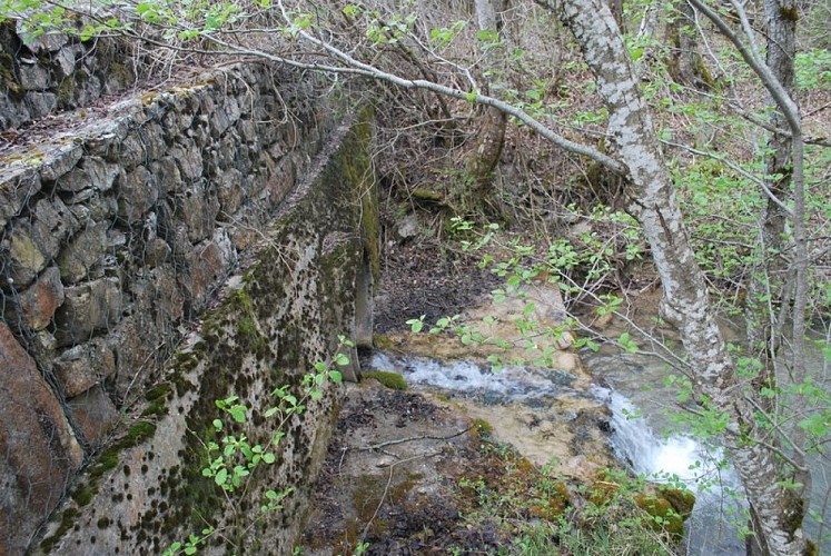 Source Saint-Lagier